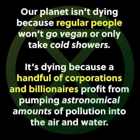Large bold text over a background of the Extinction Rebellion logo.

TEXT SAYS:

Our planet isn't dying because regular people won’t go vegan or only take cold showers.

It's dying because a handful of corporations and billionaires profit from pumping astronomical amounts of pollution into the air and water.
