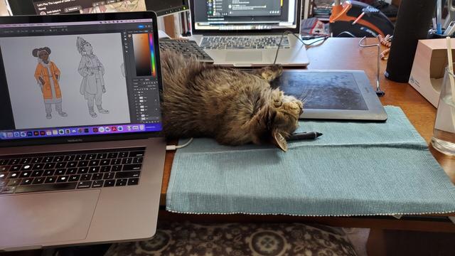 A photograph that shows a laptop on one side, with some character designs in progress, and a cat lying behind it who also happens to be in the way of a drawing tablet
