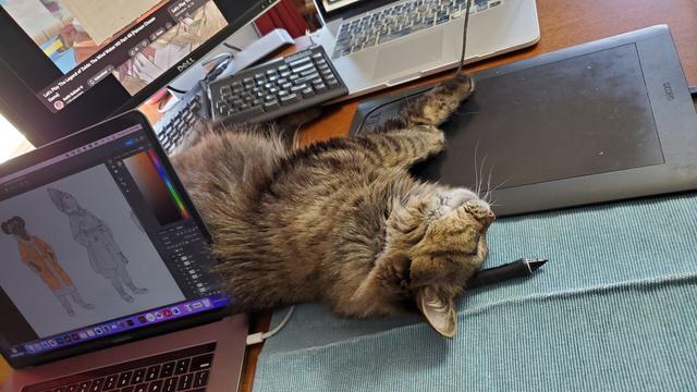 Another angle showing the cat. He is a very carefree, long-haired brown tabby on his back. A paw stretches onto the drawing tablet.