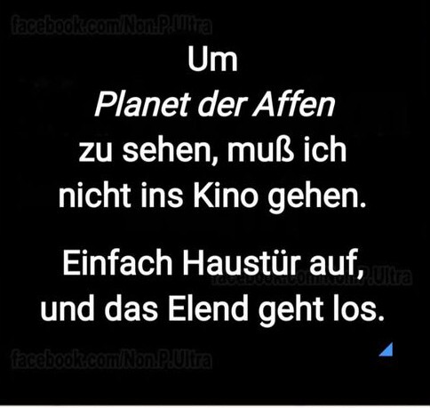 Text: "um Planet der Affen zu sehen muss ich nicht ins Kino gehen. Einfach Haustür auf, und das Elend geht los."