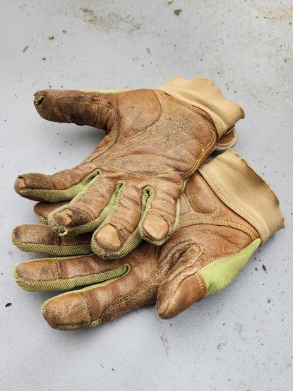 A pair of gardening gloves laid on a table, brown leather palms up. They're dirty and well loved from years of use. Several finger tips have worn through layers and the right thumb has a hole.