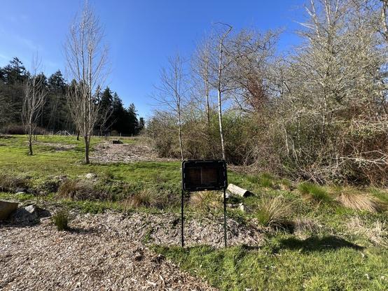 The tote stood next to our rain garden the border our 2 acres of forest