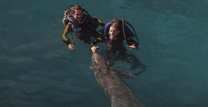 Two people dressed in scuba gear interact with a dolphin in blue water. They are smiling and one is touching the dolphin’s nose.