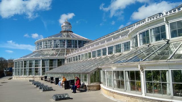 palm house Kopenhagen