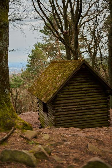 Eine Holzhütte. Links davon ein Baumstamm, im Vordergrund Erde und Buntsandsteine, im Hintergrund Bäume, sowie der Blick auf den Horizon bzw. eine weit entfernte Stadt.