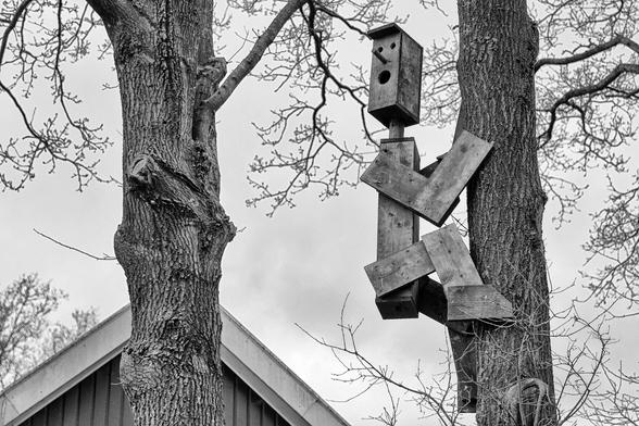#vogelnestkast in buurt van agelo