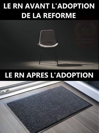 Image du haut
Le FN avant l'adoption de la reforme photo d'une chaise
Image du bas Le FN après l'adoption Photo d'un paillasson