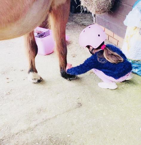 Our two year old, tending to her pony. She is currently in a pink phase, so hat, trousers, & kit box are all pink. The straw bag is filled & horse nuts topped up. Stable swept 🧹 & all our equine fam looking fresh & content.