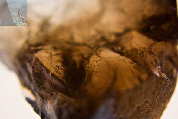 A macro photograph of a smokey quartz crystal. The crystal has an overall brown color with darker streaks throughout