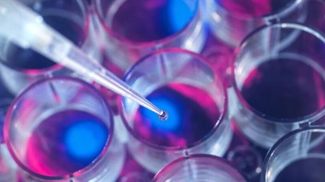 A photograph of a pipette filling glass beakers with a clear liquid in a research lab. The shot is taken from above showing only the tip of the pipette and the beakers below, which are lit with blue and pink lights