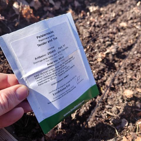 Påse med palsternacksfrö framför en odlingsbädd.