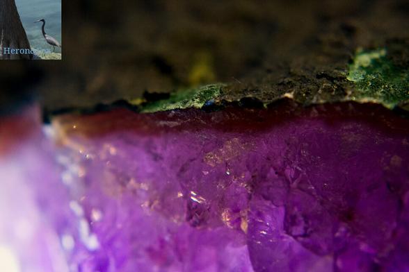 a macro photograph of the joining between a purple amethyst crystal and its green rock.