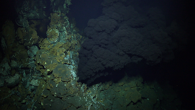 deep sea hydrothermal vent