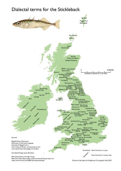 A simple map of the British Isles in light green. On it, in black text, old names for the stickleback in their approximate geographical location. Certain locations in ordinary text; uncertain at 45 degree angle. Title 'Dialectal terms for the Stickleback'. Image of stickleback top left. Map scale based on average length of a stickleback!