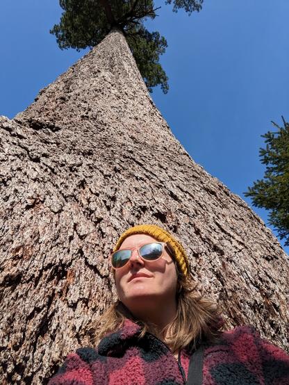 Tiny insignificant human standing at the base of big Lonely Doug