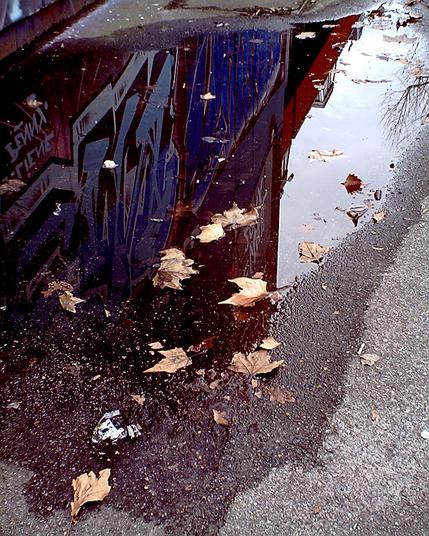photo: a puddle reflects graffiti in saturated red and blue and a washed out blue sky. a few dead dried leaves float on the surface of the puddle.