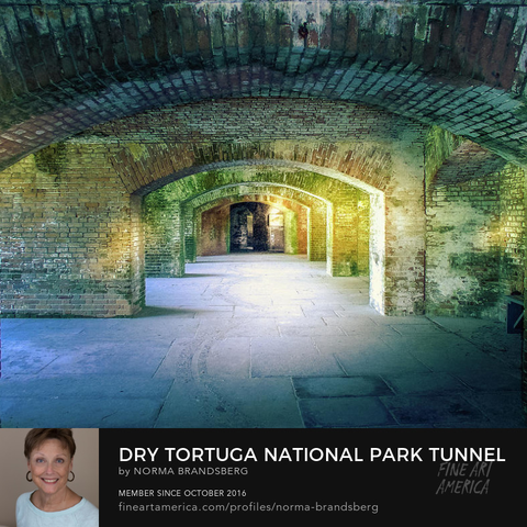 DRY TORTUGAS NATIONAL PARK:
https://pixels.com/featured/dry-tortuga-national-park-tunnel-norma-brandsberg.html 


Dry Tortugas National Park architecture print of the tunnels under the fort. This is the southern most point in the US and Florida.

More art: www.ElegantFinePhotography.com