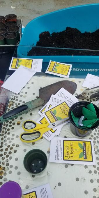 Seeds packages; sorting table.