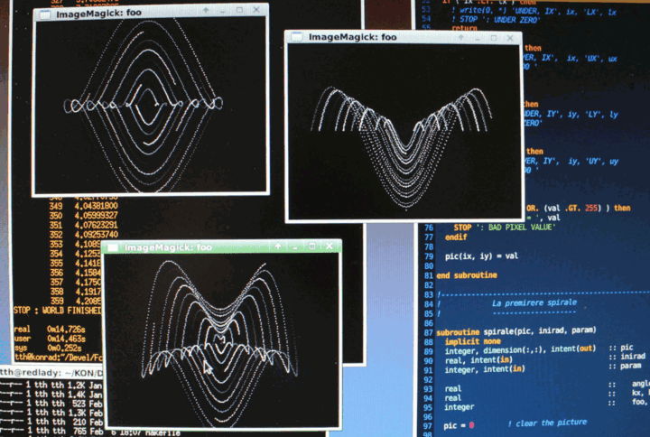 screenshot of a programmer's screen with fancy pictures and #Fortran code