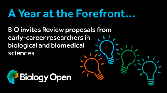 Advertisement banner showcasing Biology Open's 'A year at the forefront' review - with lightbulbs suggesting it is a bright idea