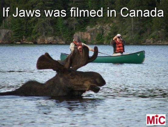 Image of a moose swimming a few metres away from a couple in a canoe.