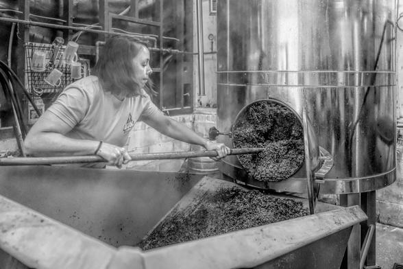 A woman cleans the leftover mash out of a large copper brewing tank. The image is black and white.