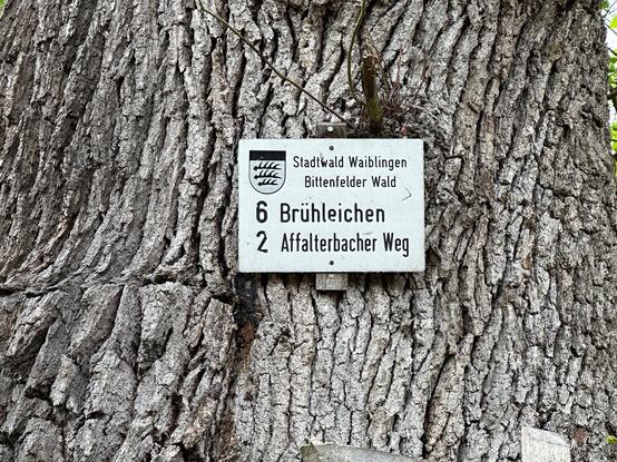 A sign with (i.a.) the word "Brühleichen".