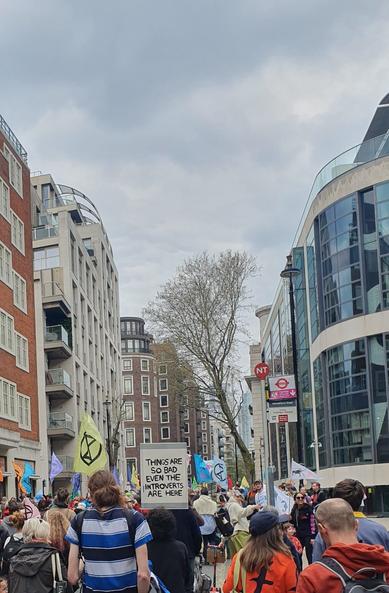 Photo of protestors in Central London.
