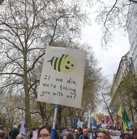 Photo of placard at protest pictures a bee and the words "if we die we are taking you with us"
