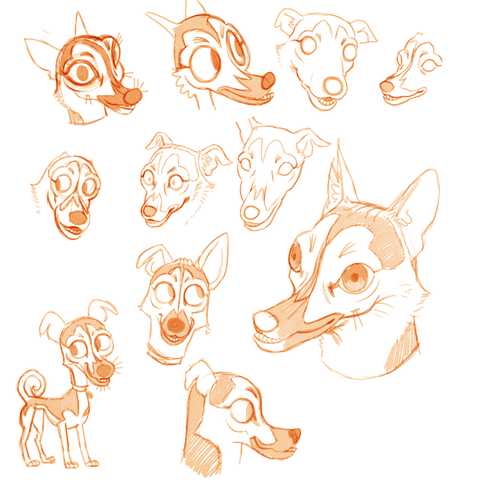 A series of sketches of dogs heads, ranging from realistic, to very cartoony. The dog has huge eyes and a pointed snout.