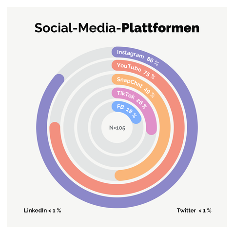 Social Media Plattformen: Diagramm