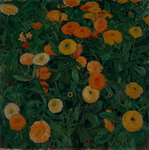 A group of blossoming marigolds among foliage. Their yellow and orange blooms shine against the green.