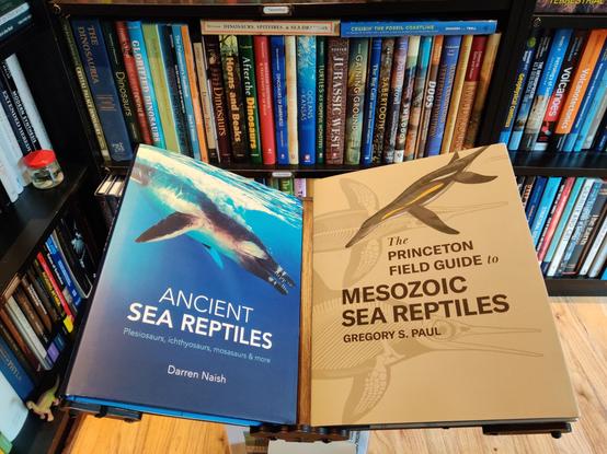 A photo of two books, Darren Naish's Ancient Sea Reptiles and Gregory S. Paul's The Princeton Field Guide to Mesozoic Sea Reptiles. The books are resting on a bookstand which stands in front of bookshelves filled with palaeontology books.