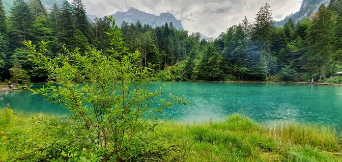 Grüne Wiese Blauer See mit Wald und Bergkette im Hintergrund.