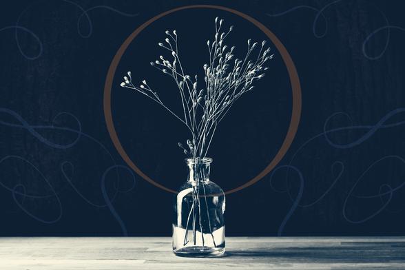 Digitally manipulated photograph of a bottle containing dry flower stalks. The background has a very faded bark texture with ornamental curls over the top. The image is mostly subdued blue with a hint of very pale yellow. There's a very faded orange circle around the heads of the flowers