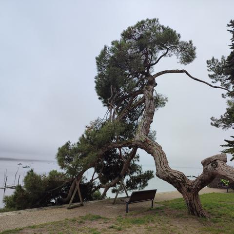 Plage de L'Herbe.