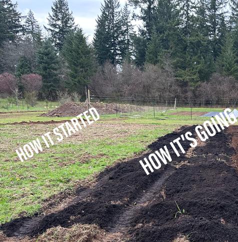 Part of field got rototilled a few months ago, just putting down compost on another part of the field. “How it started, how it’s going” text superimposed