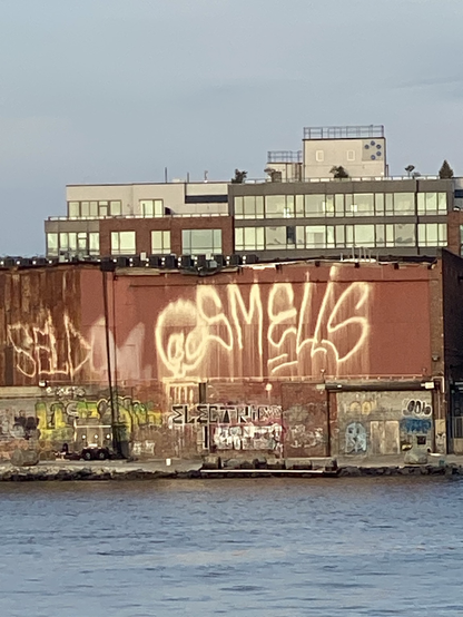SELDOM, UFO907 and SMELLS in giant cream-colored extinguisher paint on the side of a red brick building across the water. buncha other tags and throws at the bottom