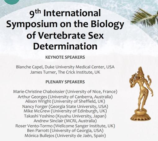 VSD2023 Conference Poster