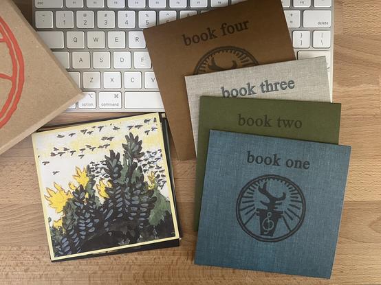 Photo of the Jeweled Antler Library box set of 4 discs.