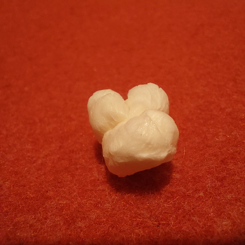 The original photo of a pop corn