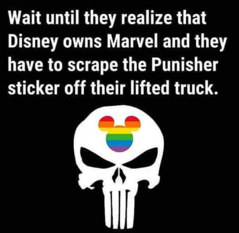 Wait until they realize that Disney owns Marvel and they have to scrape the Punisher sticker off their lifted truck.

In the punisher logo's forehead, a Mickey Mouse sign is colored in LGBTQ+ colors.
