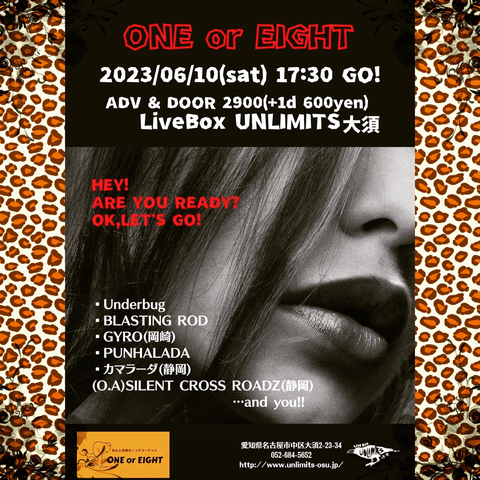Details of the concert are written over the lower half of a woman’s face, partially concealed by her own hair.