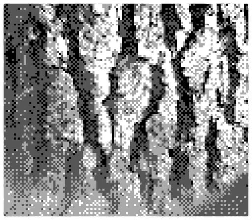 The bark of a pine tree taken with the Gameboy camera and an infrared cut filter.