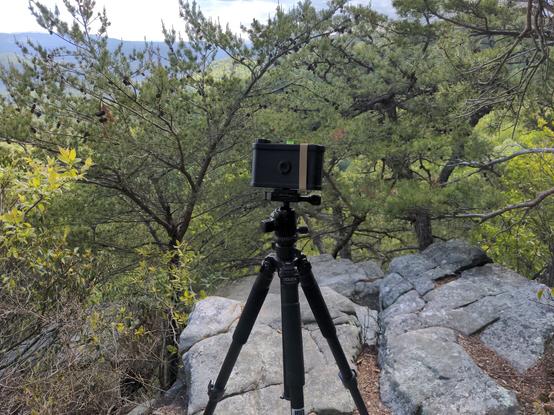 A pinhole camera sits on top of a camera tripod. Behind it are some scrubby trees and a rock ledge.