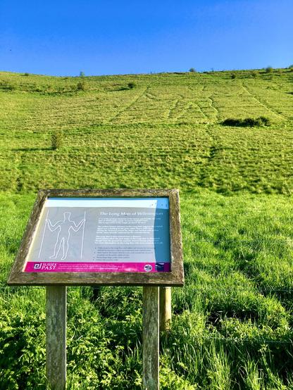 A view of a grassy hill with the outlines of a chalk man holding two walking by staffs carved onto the hill (though the chalk is hard to see) alongside a sign describing the monument