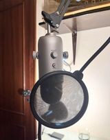 Blue Yet, correctly oriented and with a pop filter in front