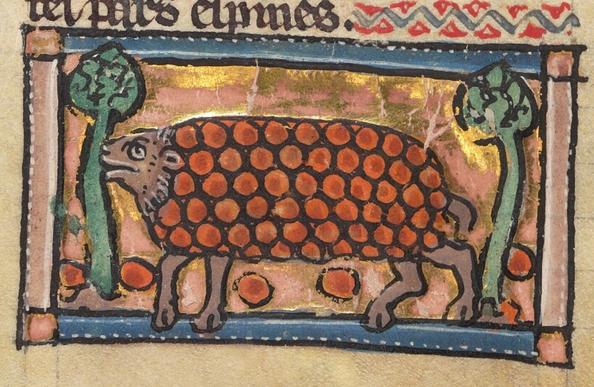 Hedgehog with spiny back covered with fruit
"The hedgehog can roll up in its spines so that nothing can touch without being pricked, and it can roll in apples to stick them to its spines. Richard says some men are like the hedghog, able to take from every place but not be taken in any place. [From the Bestiaire d'amour]"
Bodleian Library, MS. Douce 308 (Bestiaire d'amour), folio 98v
https://bestiary.ca/beasts/beast217.htm