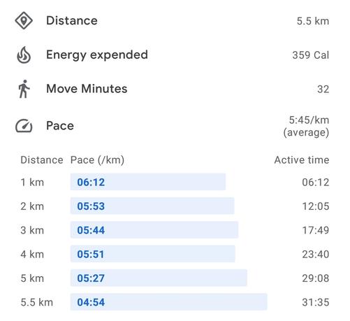 Detailed stats with tracked pace at every km.
Average pace: 5:45/km, ranging from 4:45 to 6:12