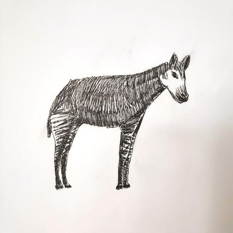 doodle of an okapi